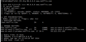 netflix-google-dns-query